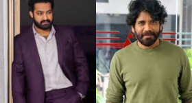 Nagarjuna - NTR : నాగార్జున - ఎన్టీఆర్ కాంబోలో సినిమా.. ఫ్యూజులు అవుట్ అయ్యే న్యూస్..