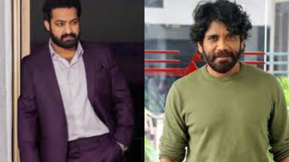 Nagarjuna – NTR : నాగార్జున – ఎన్టీఆర్ కాంబోలో సినిమా.. ఫ్యూజులు అవుట్ అయ్యే న్యూస్..