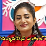 Nayani Pavani: బిగ్ బాస్ నుంచి నయని అవుట్.. ఎంత రెమ్యూనరేషన్ తీసుకుందంటే?