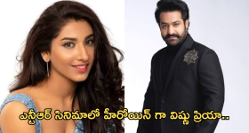 Bigg Boss Vishnu Priya : నిజమా .. ఎన్టీఆర్ సినిమాలో హీరోయిన్ గా విష్ణు ప్రియా.. కానీ ఒక ట్విస్ట్..