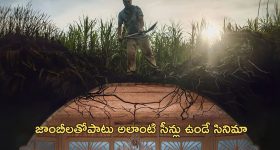 KTR Padayatra: ఆధిపత్యం కోసమేనా పాదయాత్ర? హరీష్‌ను తొక్కి.. నేనే సీఎం అని చెప్పేందుకేనా?