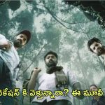 OTT Movie : ఆ అడవిలో అడుగు పెట్టిన మనుషులు మాయం… వణుకు పుట్టించే హారర్ మూవీ