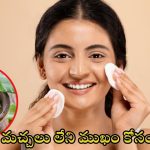 Glowing Skin Tips: మీ ముఖం చందమామలా మెరిసిపోవాలా ? అయితే ఇలా చేయండి