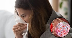 Pneumonia Symptoms: ఈ 5 లక్షణాలు మీలో ఉన్నాయా ? అయితే ప్రమాదమే..