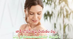 TTD Key Decisions: అన్యమత ఉద్యోగులు ఇక ఇంటికే.. కీలక నిర్ణయాలతో.. షాకిచ్చిన టీటీడీ చైర్మన్ బీఆర్ నాయుడు
