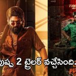 Pushpa 2 Trailer : పుష్ప రాజ్ వచ్చేసిండు..థియేటర్లు దద్దరిల్లాల్సిందే..