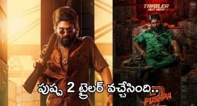 Pushpa 2 Trailer : పుష్ప రాజ్ వచ్చేసిండు..థియేటర్లు దద్దరిల్లాల్సిందే..