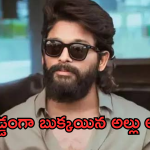 Pushpa2 : ఏంటి బన్నీ ఇలా చేస్తావని ఊహించనేలేదు.. పవన్ ఫ్యాన్స్ దారుణమైన ట్రోల్స్..
