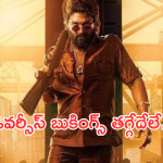 Pushpa 2 Advance Booking: అడ్వాన్స్ బుకింగ్స్ లో నీయవ్వ తగ్గేదేలే .. ఎన్ని కోట్లంటే?