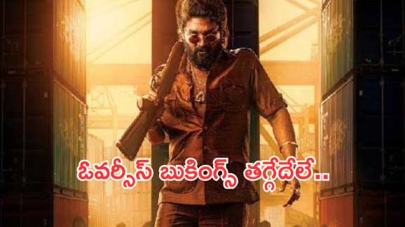 Pushpa 2 Advance Booking: అడ్వాన్స్ బుకింగ్స్ లో నీయవ్వ తగ్గేదేలే .. ఎన్ని కోట్లంటే?