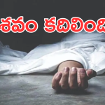 Rajasthan News : చితిపై శవం శ్వాస తీసుకుంది.. అంతా హడలెత్తిపోయారు.. ఏం జరిగిందంటే