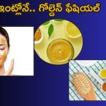 Beauty Tips: ఇంట్లోనే గోల్డెన్ ఫేషియల్.. ఎలా చేసుకోవాలో తెలుసా ?