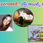 Long Hair Tips: వారానికి 2 సార్లు ఈ ఆయిల్స్ రాస్తే..  వద్దన్నా జుట్టు ఒత్తుగా పెరుగుతుంది తెలుసా ?