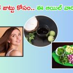 Homemade Hair Oil: ఈ ఆయిల్ వాడారంటే.. జుట్టు రాలనే రాలదు