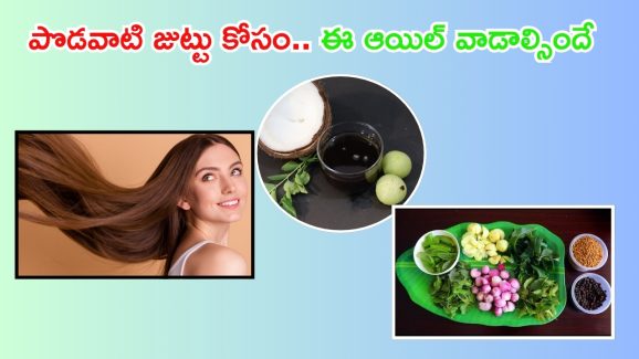 Homemade Hair Oil: ఈ ఆయిల్ వాడారంటే.. జుట్టు రాలనే రాలదు