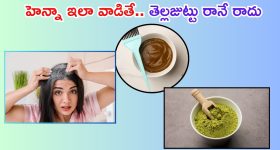Harish Rao Tweet : మీరిచ్చిన ఉద్యోగాలన్నీ మావే - హరీష్ రావు