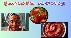 Cruise Tour: నాగార్జున సాగర్ నుంచి శ్రీశైలం లాంచీ ప్రయాణం ప్రారంభం, టూర్ విశేషాలు, టికెట్ ధరలు ఇవే!