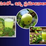 Amla Benefits: ఉసిరి తింటే ఇన్ని లాభాలా ?