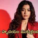 Rashmika Mandanna : ఏంటి రష్మిక.. ఇలా చేస్తే ఫ్యాన్స్ హర్ట్ అవుతారు..
