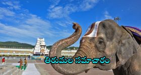 IPL 2025 All Teams Squad: వేలం తర్వాత 10 జట్ల ప్లేయర్స్ లిస్ట్ !