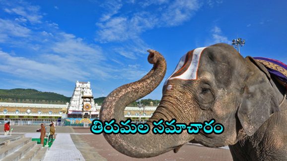 TTD News: తిరుమలకు వెళ్తున్నారా.. ఈ వివరాలు మీ కోసమే