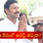 Big Shock To MP Avinash: ఎంపీ అవినాష్ రెడ్డికి షాక్.. ముందస్తు బెయిల్ పిటీషన్ కొట్టివేసిన కోర్టు