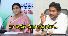 YS Sharmila on Hero Prabhas: ప్రభాస్ ఎవరో కూడా తెలియదు.. అన్నా నీకిది తగునా.. షర్మిళ ఫైర్