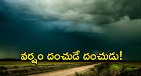 Natural Hair Colour: వీటిని వాడితే.. ఎంతటి తెల్ల జుట్టు అయినా క్షణాల్లోని నల్లగా మారడం ఖాయం