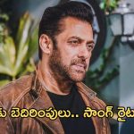 Salman Khan : సల్మాన్ బెదిరింపుల కేసులో 24 ఏళ్ల సాంగ్ రైటర్ అరెస్ట్