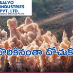 Salvo Issue : ‘స్వేచ్ఛ’ దెబ్బకు తోక ముడిచిన సాల్వో!