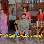 Satyabhama Today Episode : క్రిష్ పుట్టుకను కనిపెడతానని సత్య ఛాలెంజ్.. మైత్రి మిస్ అవ్వడంతో టెన్షన్ పడుతున్న హర్ష, నందిని..