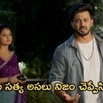 Satyabhama Today Episode : కుండబద్దలు కొట్టే ప్లాన్ వేసిన సత్య.. ఇంట్లోకి ఎంట్రీ ఇచ్చిన క్రిష్ కొత్త అమ్మ…