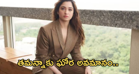 Tamanaih Bhatia : తమన్నాను ఘోరంగా అవమానించిన హీరో.. పరువు మొత్తం పాయే..