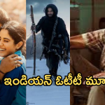 Top Indian OTT Movies 2024 : ఓటీటీలో ఈ ఏడాది అదరగొట్టిన టాప్ ఇండియన్ సినిమాలు ఇవే..