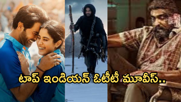 Top Indian OTT Movies 2024 : ఓటీటీలో ఈ ఏడాది అదరగొట్టిన టాప్ ఇండియన్ సినిమాలు ఇవే..