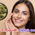 Pumpkin Seeds: గుమ్మడిగింజను ఇలా వాడితే.. మీ అందం రెట్టింపు అవుతుంది తెలుసా ?