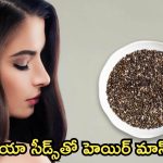 Chia Seeds Hair Mask: చియా సీడ్స్‌తో హెయిర్ మాస్క్.. ఒక్క సారి వాడారంటే రిజల్ట్ పక్కా
