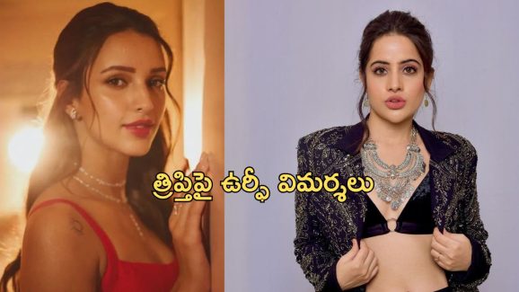 Triptii Dimri: ఆ విషయంలో ఆమె అస్సలు నచ్చదు… త్రిప్తీపై కాంట్రవర్షియల్ బ్యూటీ షాకింగ్ కామెంట్స్