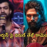 Mega Vs Allu : అల్లు అర్జున్ పై వరుణ్ తేజ్ రివేంజ్ ప్లాన్..పరువు అడ్డంగా తీసేసారుగా..