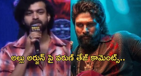 Mega Vs Allu : అల్లు అర్జున్ పై వరుణ్ తేజ్ రివేంజ్ ప్లాన్..పరువు అడ్డంగా తీసేసారుగా..