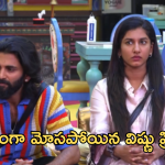 Bigg Boss8 Telugu : విష్ణుప్రియా హార్ట్ బ్రేక్.. ఇన్నిరోజులకు బయటపడ్డ పృథ్వీ నిజ స్వరూపం..