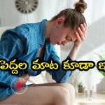 Bowel Cancer: మధ్యాహ్నం ఆ పని చేస్తే పేగు క్యాన్సర్ రాదా? లేటెస్ట్ స్టడీలో షాకింగ్ విషయాలు వెల్లడి!