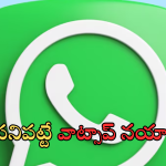Whats App Reverse Search Image : క్లిక్ కొట్టు.. ఫేక్ ఫోటో పట్టు.. అలరించబోతున్న వాట్సాప్ కొత్త ఫీచర్