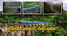 President Droupadi Murmu: హైదరాబాద్ కు చేరుకున్న రాష్ట్రపతి ద్రౌపది ముర్ము.. స్వాగతం పలికిన సీఎం రేవంత్ రెడ్డి, మంత్రులు