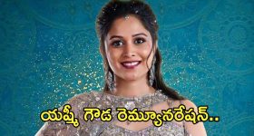 Bigg Boss 8 Telugu : యష్మీ గౌడ 12 వారాలకు ఎంత సంపాదించిందో తెలుసా?