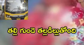 Bus Accident : రెండేళ్ల చిన్నారిని చిదిమేసిన బస్సు చక్రాలు.. గ్రామం మొత్తం విషాదం నింపిన ఘటన..