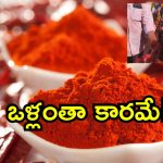Shiva Swamy Baba: ఏలూరులో కారంతో  అభిషేకం చేయించుకున్న స్వామీజి.. ఎందుకలా? ప్రత్యేకత ఏమిటీ?