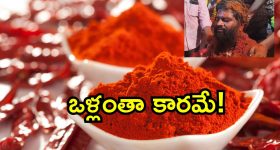 Shiva Swamy Baba: ఏలూరులో కారంతో  అభిషేకం చేయించుకున్న స్వామీజి.. ఎందుకలా? ప్రత్యేకత ఏమిటీ?