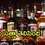 Rachamallu Sivaprasad Reddy: నిండా ముంచింది మందుబాబులే.. ఎంత పని చేస్తిరయ్యా.. వైసీపీ నేత కీలక కామెంట్స్