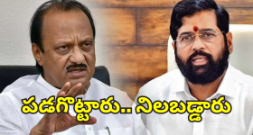 Mahayuti Alliance : షిండే, అజిత్ పవార్‌ల వెంటే మహా ప్రజలు.. పార్టీలను చీల్చినా ఎందుకింత క్రేజ్